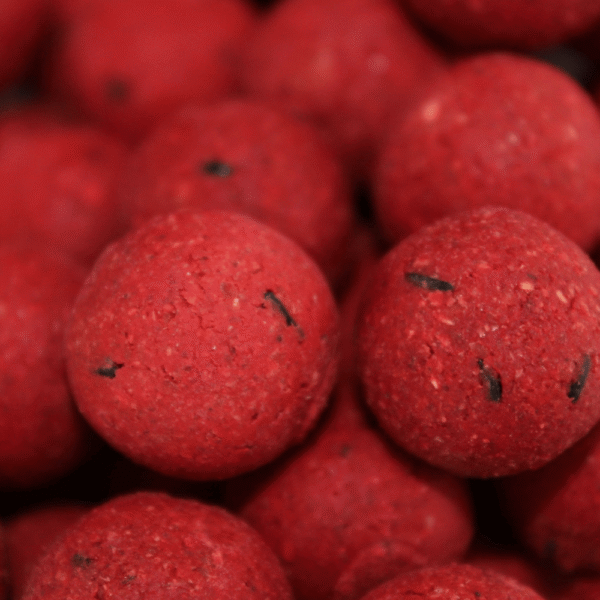 Boilie Robin Red – Vista para mostrar el tamaño real del cebo