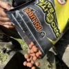 Soluble Boilies Krill & Crab 20 mm 3,5 kg Pro Elite Baits – Cebo de disolución rápida disponible en Carpext