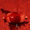 Potenciador de cebo Robin Red 1000 ml – Compatible con PVA y todo tipo de cebos