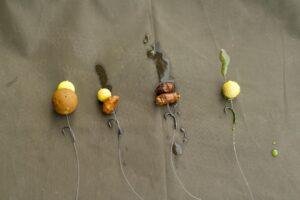 Montajes sencillos y efectivos de carpfishing preparados para pescar carpas