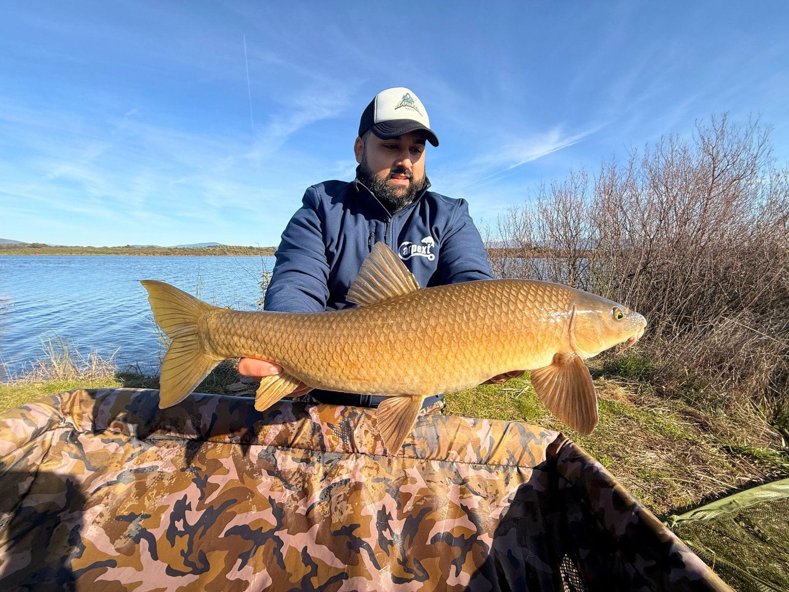 Barbo capturado en sesión de carpfishing con material especializado, pesca deportiva en embalse