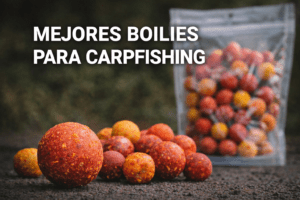 mejores boilies para carpfishing