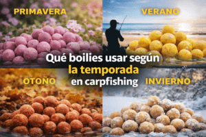 boilies según la temporada carpfishing