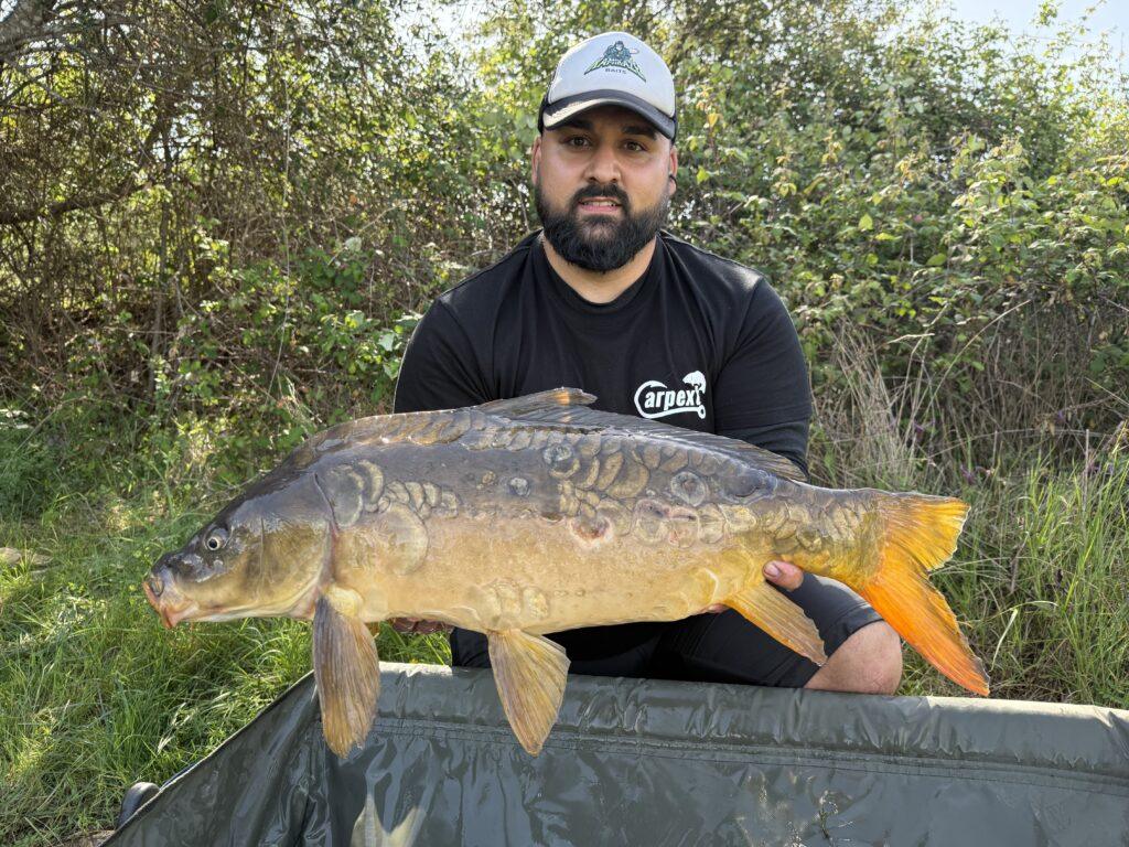 Pescador mostrando carpa capturada en jornada de pesca deportiva carpfishing