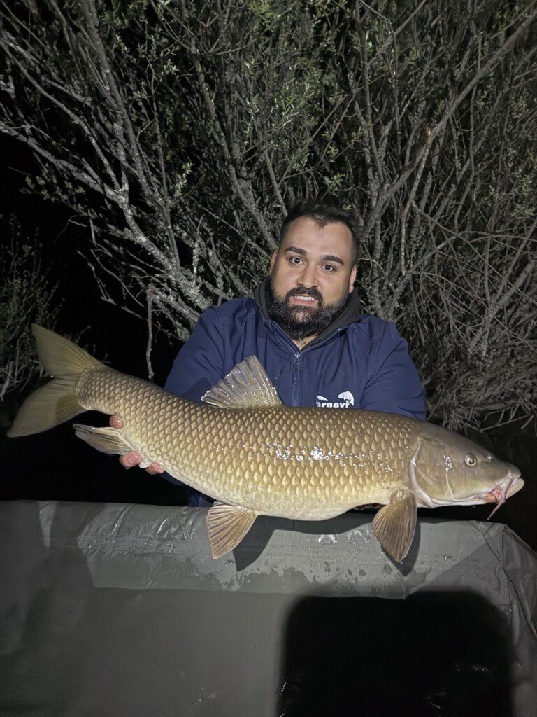 Captura de barbo en jornada de pesca deportiva con técnicas de carpfishing