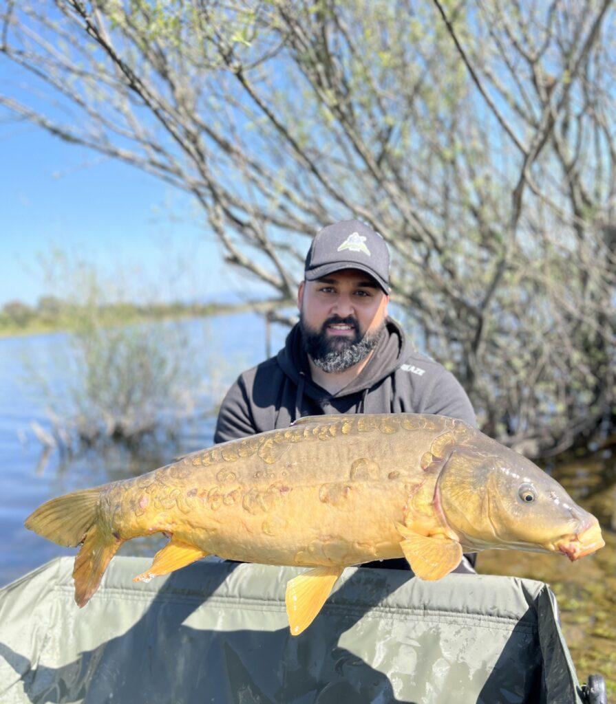 Captura de carpa royal con material y cebos para carpfishing