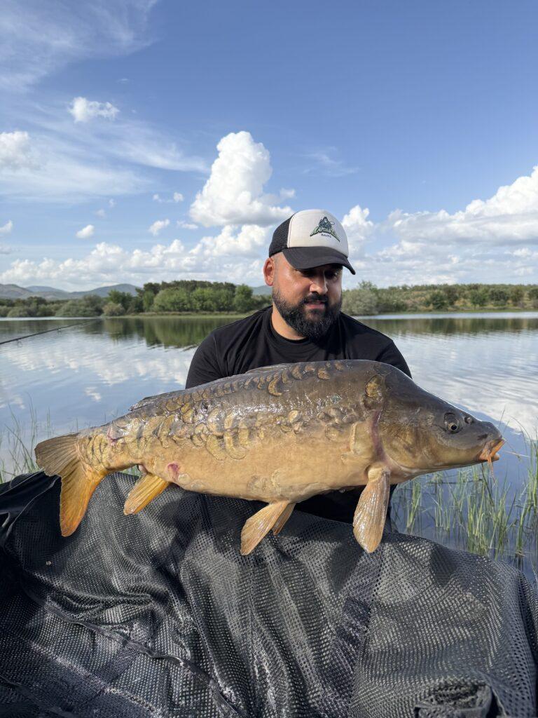 Captura de carpa royal en jornada de carpfishing con cebos especializados