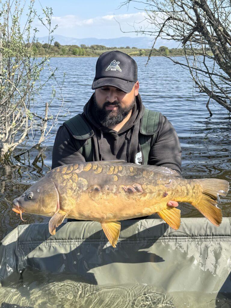 Pescador mostrando gran carpa royal capturada en pesca deportiva carpfishing