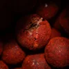 Boilies Robin Red Gold Pro Elite Baits para carpfishing