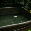 Bolsas EVA Impermeables Katran para carpfishing