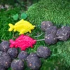 Aguja Universal Amarilla Katran para carpfishing
