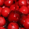 Dips Robin Red – Detalle del líquido especiado para atracción de carpas