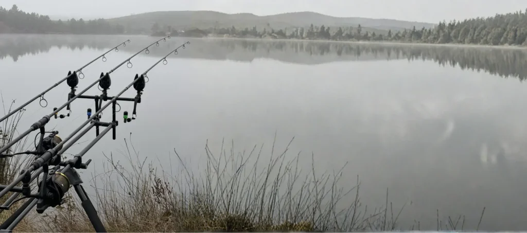 Cañas de carpfishing al amanecer en un embalse - Carpext tienda online