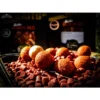 Boilies Pro Elite Baits Gold Robin Red 20 mm 1 kg