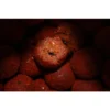 Boilies Pro Elite Baits Gold Robin Red 20 mm 1 kg