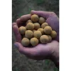 Boilies Solubles Pro Elite Baits Pineapple & Scopex 20 mm 3,5 kg