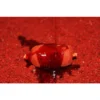 Dips Booster Pro Elite Baits Robin Red 1000 ml