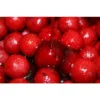 Dips Booster Pro Elite Baits Robin Red 1000 ml