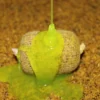 Stick Mix Pro Elite Baits Pineapple & Scopex 800 g